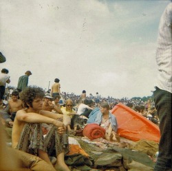 druggedflowers:   Woodstock 1969 