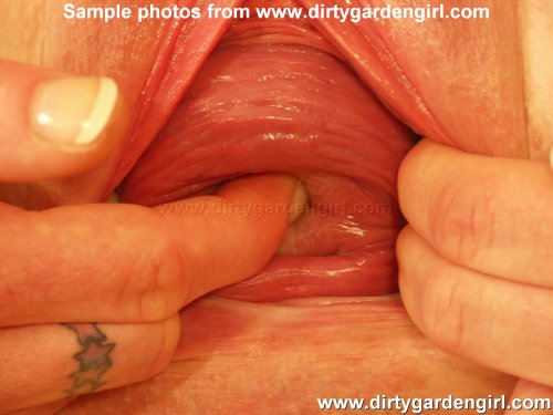 donnaflowerxxx: Fingering her cervix. From dirtygardengirl.com