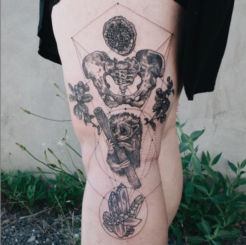 tattrx:  Pony Reinhardt | Portland Oregonponyreinhardt:  Pygmy slow loris, human hipbone, lingonberries, Fallopian tube histology, and a Quartz cluster!  By Pony Reinhardt in Portland, OR.  For more updates, follow on IG: freeorgy