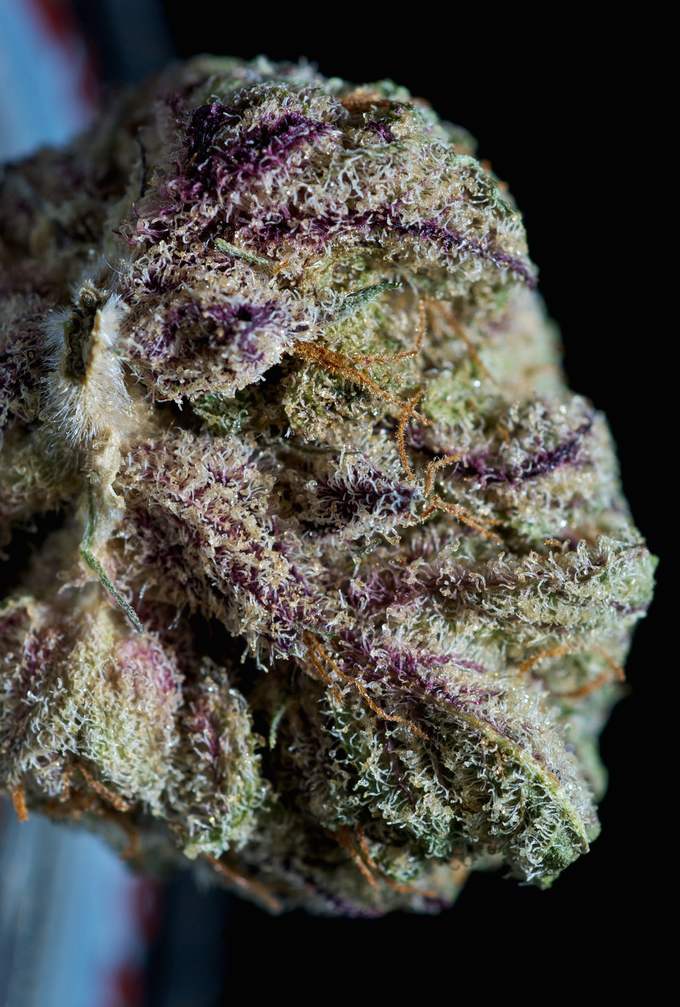 Get Higher