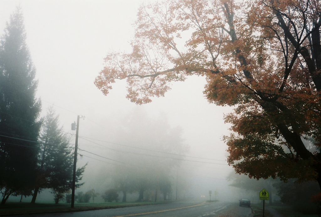 englishsnow:  by S. Shorey 