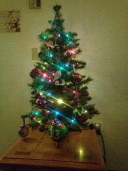 Our little tree that we put up over the weekend. The two giant ornaments with 2012 and 2013 on them are near the bottom. I finally finished the 2013 one last night. Next to the teddy bear ornament on the right is a red bell ornament. We got it from the