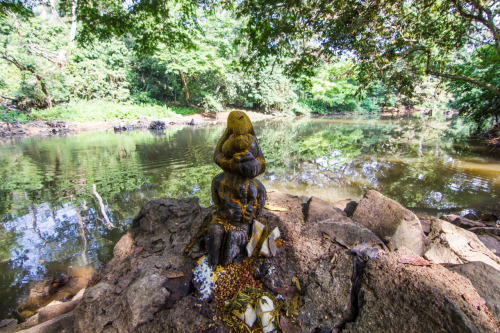 Osun sacred grove, Osogbo, Nigeria