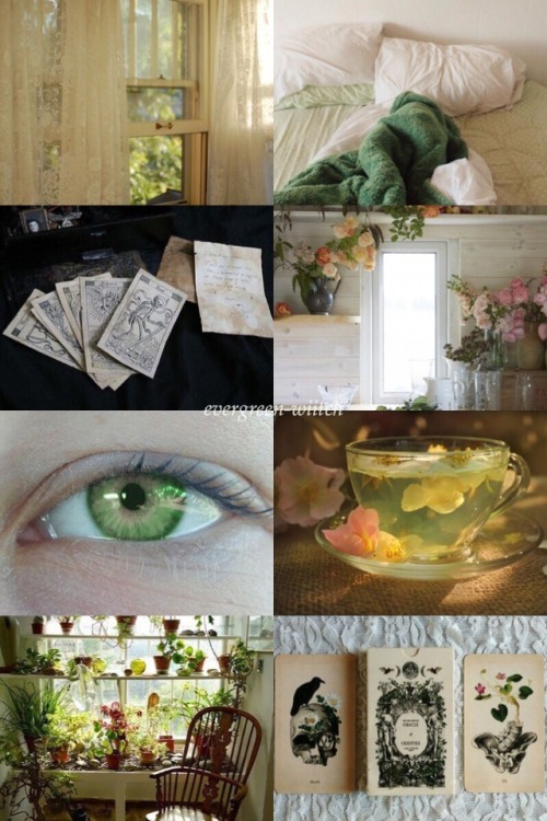 evergreen-wiitch:Aesthetic: kitchen and tarot witch with bright green favorite color☕️ // aesthetic 
