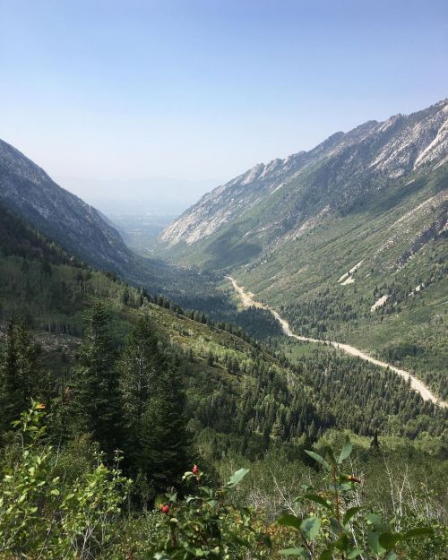 Out for a nice hike. #Science #SciComm #Biology #Utah #Botany #Plant #Plants #Nature #Mountains #Was