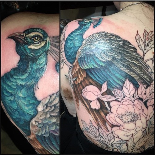 @pacocasero made some progress on this gorgeous peacock backpiece #peacocktattoo #peacock #backpiece