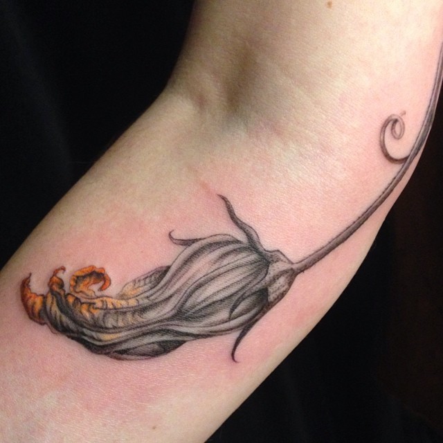 skindeeptales:  Butterfat Studios