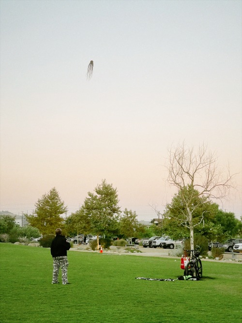 kite.l.a. california historical park.