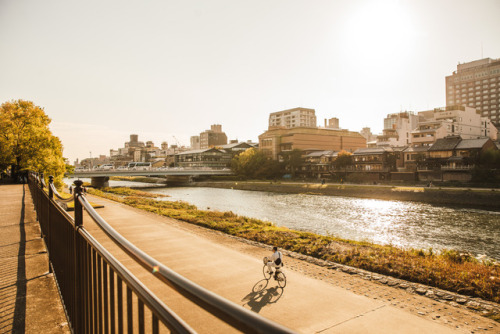 Sunday 22nd October 2017. 15:30 Kyoto Japan.Cycling down the Kamo River today felt so satisfying. I 