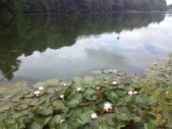 deadlysick:  I went to Winston Churchills birth place today and it was boring as hell, but this lake was beautiful.