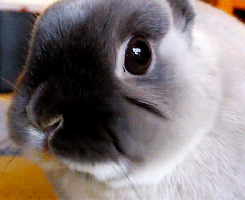 the-absolute-best-posts:  This post has been featured on a 1000notes.com blog.