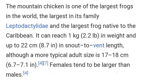 Fun Fact: You Know Why This Frog Is Called Like That? Because Natives Of This Region Used To Hunt And