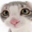optimisticcloudfirecroissant