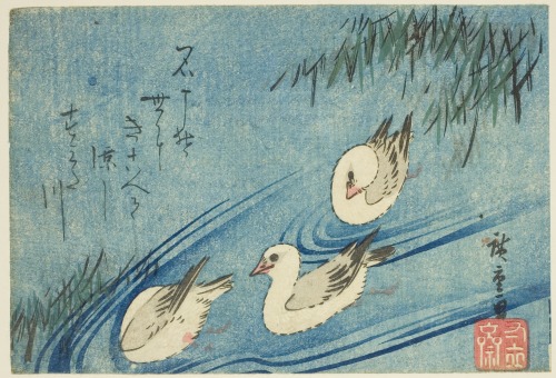 heaveninawildflower:‘Oystercatchers’ (circa 1833-34) by Utagawa Hiroshige (1797-1858). W