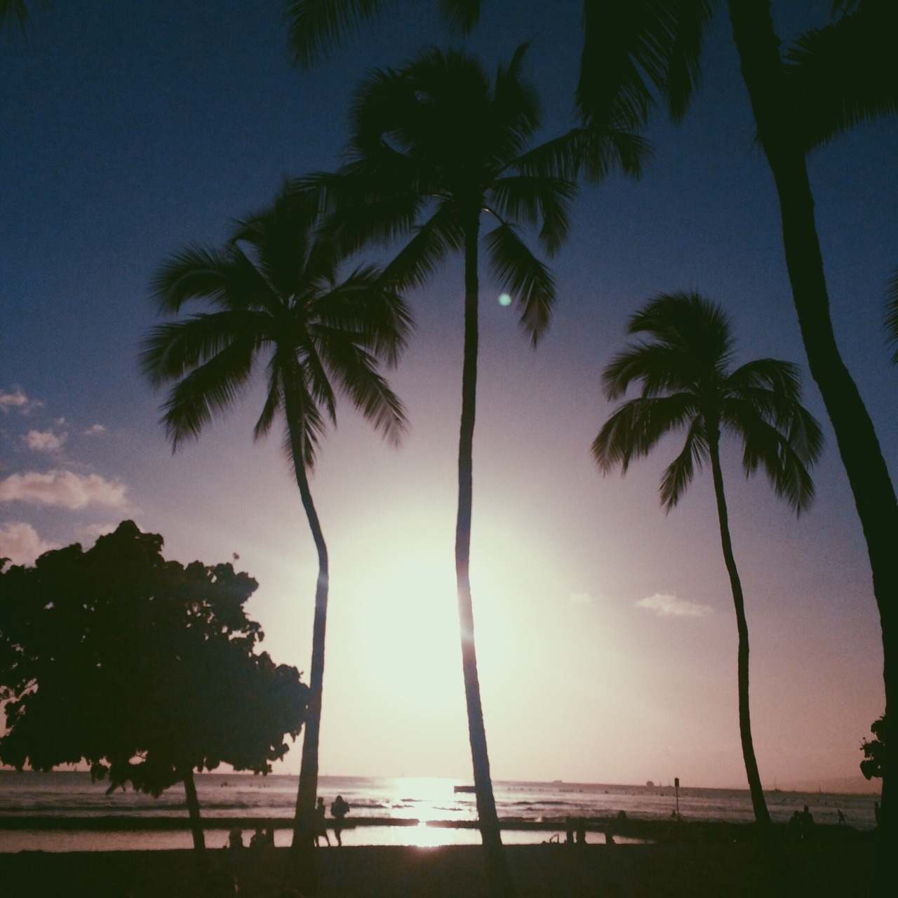 kyst808:  Take care of the beautiful world we live in