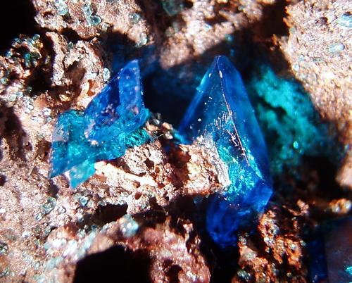 rockon-ro:  Beautiful electric blue crystals of CHALCANTHITE (Copper Sulfate) that were grown in a laboratory in Poland. Photo taken at 15X with a stereo microscope.