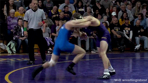 Wrestling is Best