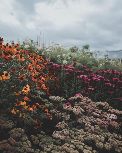 Instagram | Thewildwoodmoth
