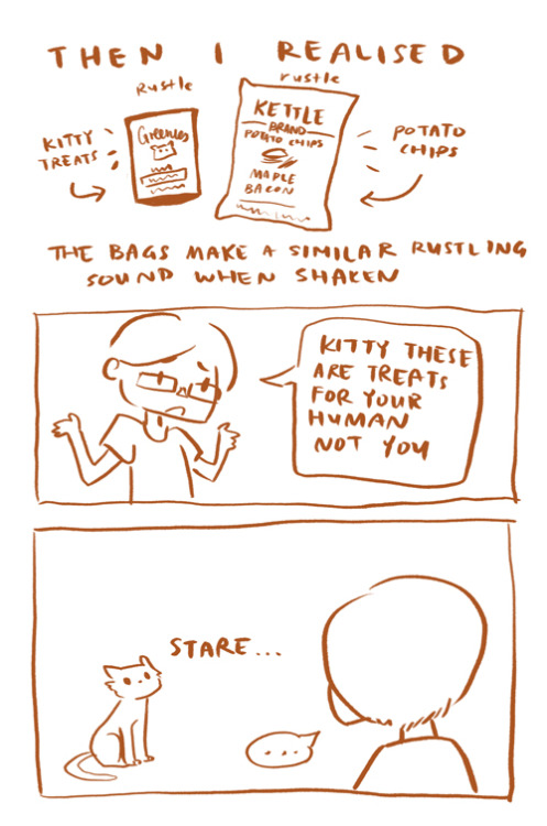 xinling:I made a silly comic about me and my cat.