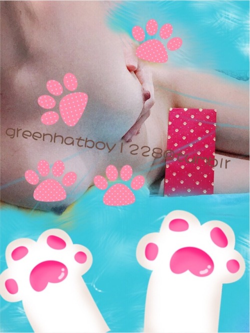 greenhatboy1228: 大年初二回娘家t都冷清清哈哈（正好低調點） 紅包圖請各位笑納～～ ㊗️年行大運 歡喜淫狗年 才幾天沒見到主人，就好想要唷…..你們有沒有拿到紅包❓ ❤️新的一年請多多
