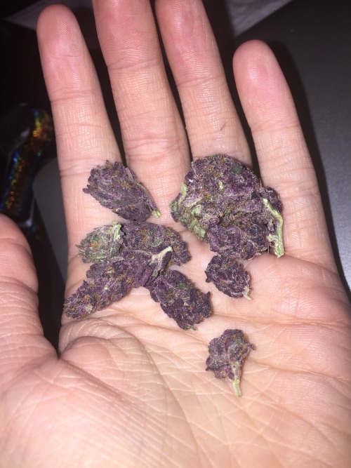 weedporndaily:  666ft:Grimace puts you right to sleep 😍