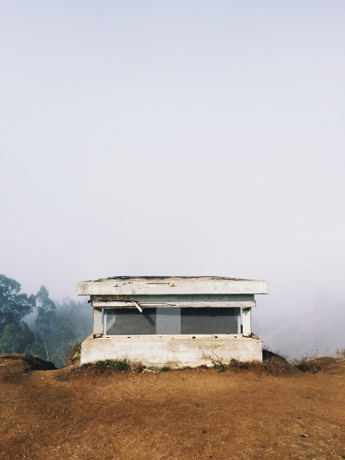 danielodowd:  stuart