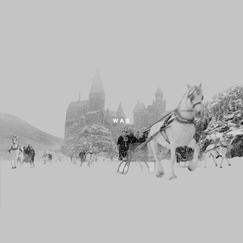 perksofbeingafanboy:One morning in mid-December, Hogwarts woke to find itself covered in several fee