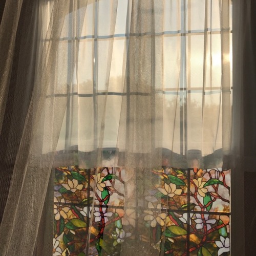 roseperfume:the sunlight in my room after 5pm is so nice