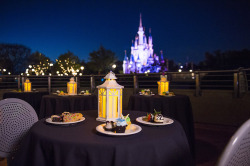 Disney Parks Blog: “Reservations Open March 20 For The Wishes Fireworks Dessert