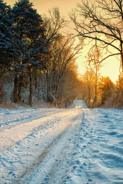 atraversso:  Snowy Road  by Vincent Waldron 