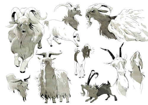 cranesketch:Goats!