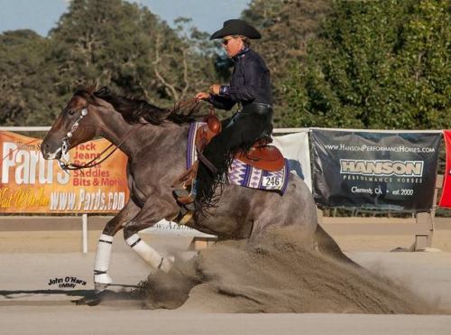 Custom Cash In RoanCustom Crome x Cash In RoanQuarter Horse, MareBorn 2010