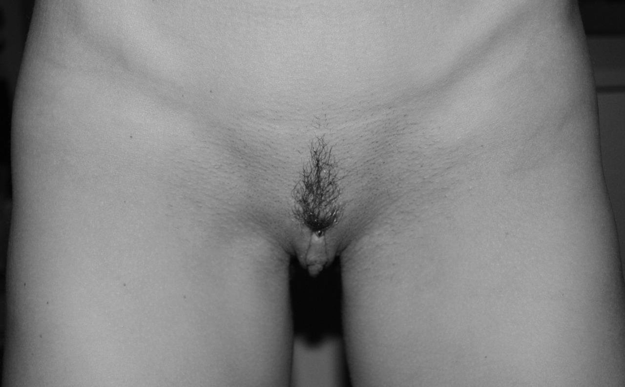 mywifetypelady:  Targetting….  Very lovely grooming.  It looks like a little flame. 