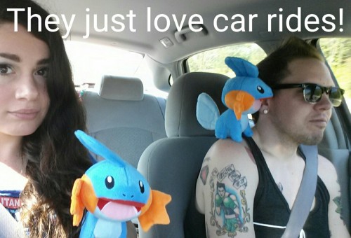 acerotiburon:  #NoMudkipLeftBehind  bought 2 Mudkip. Took them on a trip. 