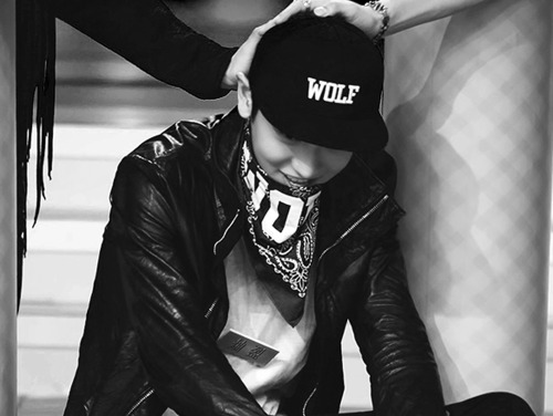  ♥ petting baby wolf ♥   