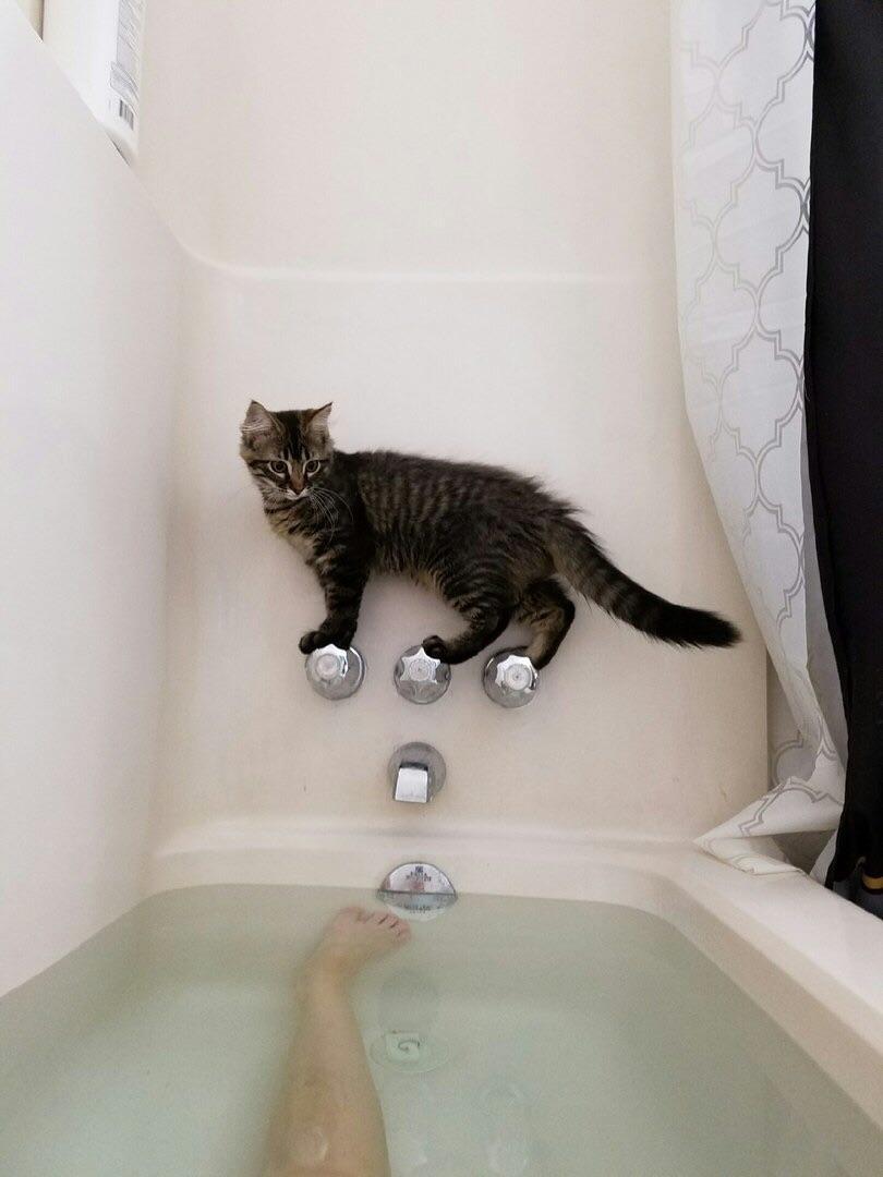 awwww-cute:  Calm before the storm. (Source: https://ift.tt/2s8HoAv)