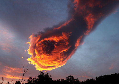 adulthoodisokay: unsettlingstories: This cloud looks like a flaming fist from heaven. (From here.) w