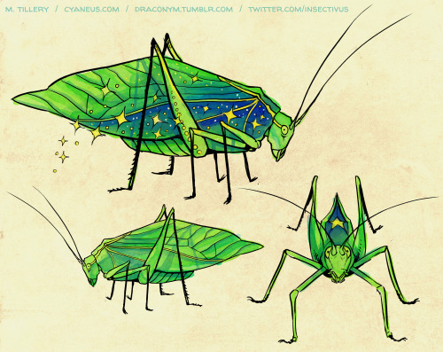 draconym:Cosmic katydid for @plumbat