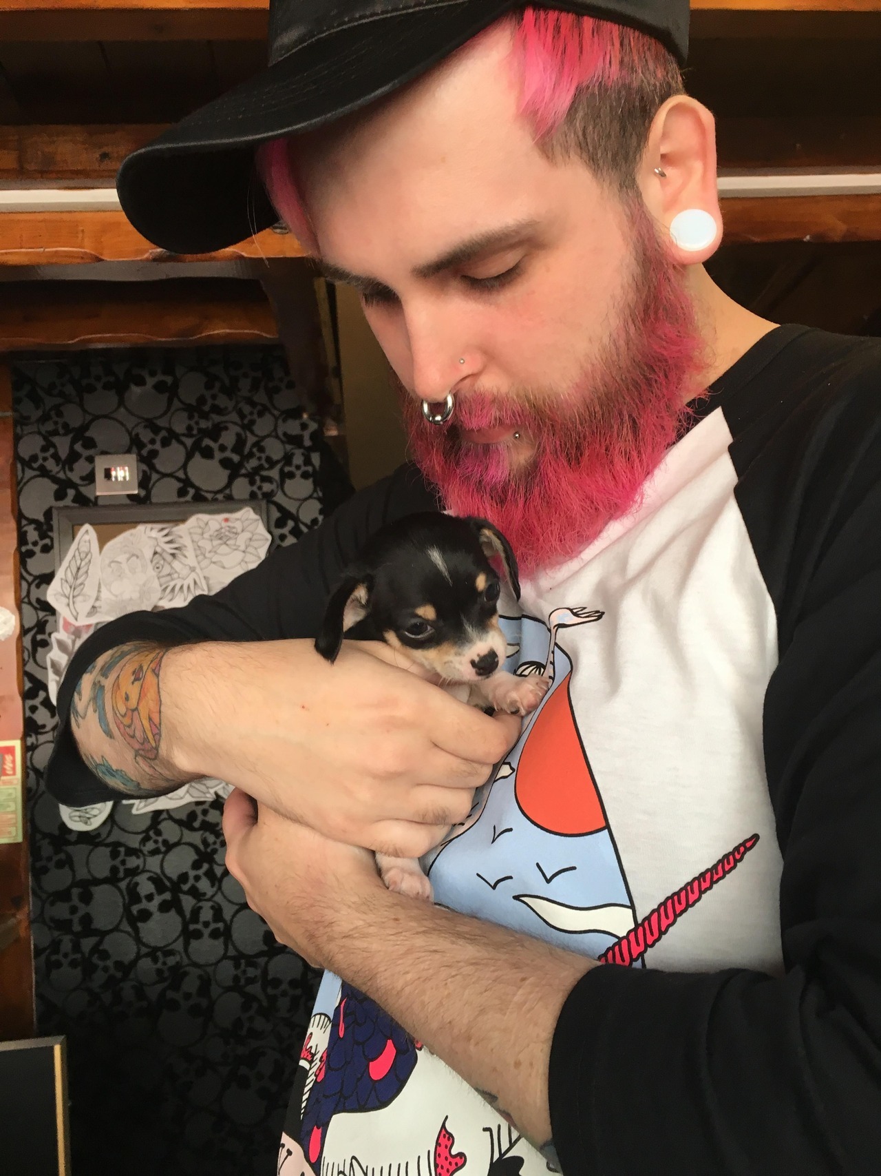 kiimon:  A CUTE PUPPY CAME INTO THE STUDIO TODAY AAHH