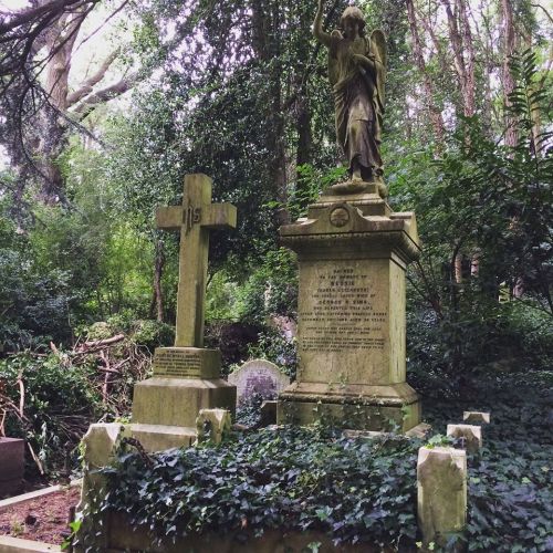 neil-gaiman: hvelfa: neil-gaiman: horrorcandybox:Highgate Cemetery, London.By HorrorCandyBox. Techni