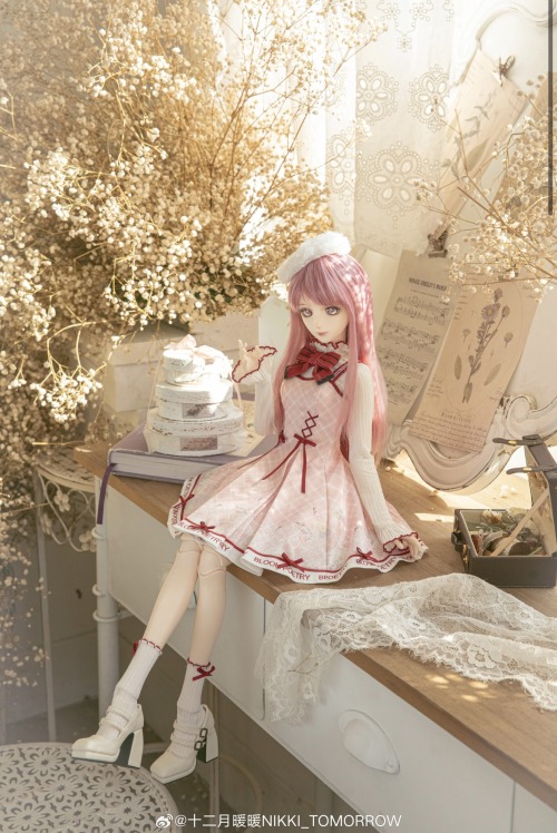 Nikki BJD From Lottery