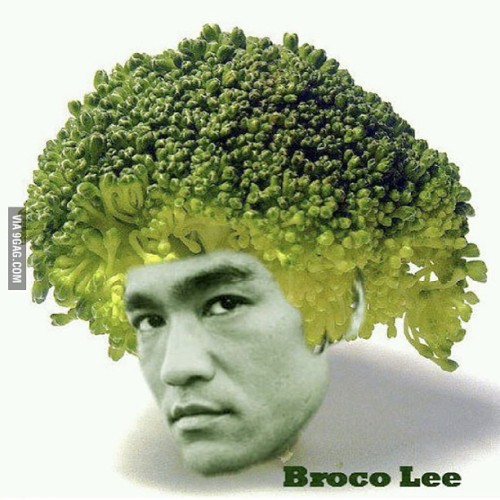 9gag:  I’m sure it is deLEEcious! 😹  lucalee