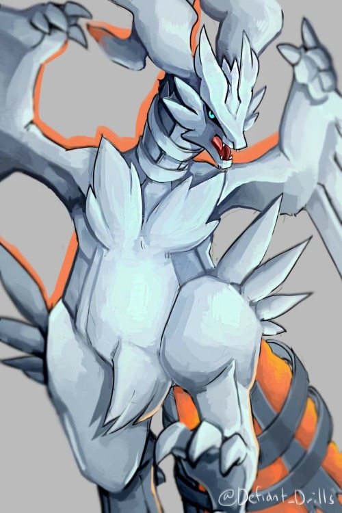 whereshadowsthrive: I posted the Zekrom already so sorry for the repeat art. But I made Reshiram tod
