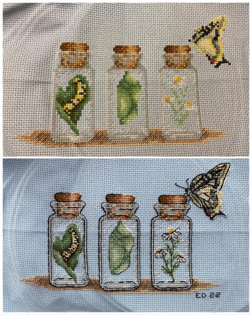 “Metamorphosis” by MaxStitch. Before & after backstitch! Still need to wash & iron. byreds