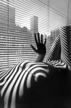 cocteldemente:Lucien Clergue, From Nu Zebre