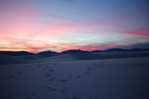 I spent the weekend in White Sands National Monument in New Mexico.