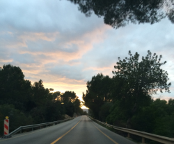 brxkenpetal:  brxkenpetal:  my dad always takes me to the best road trips ever   i miss him 