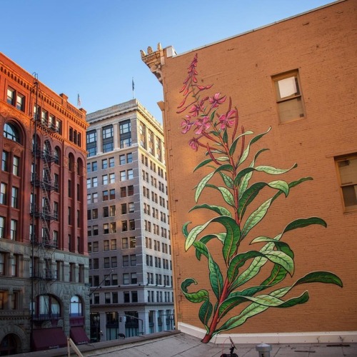 Beautiful Murals by Mona Caron