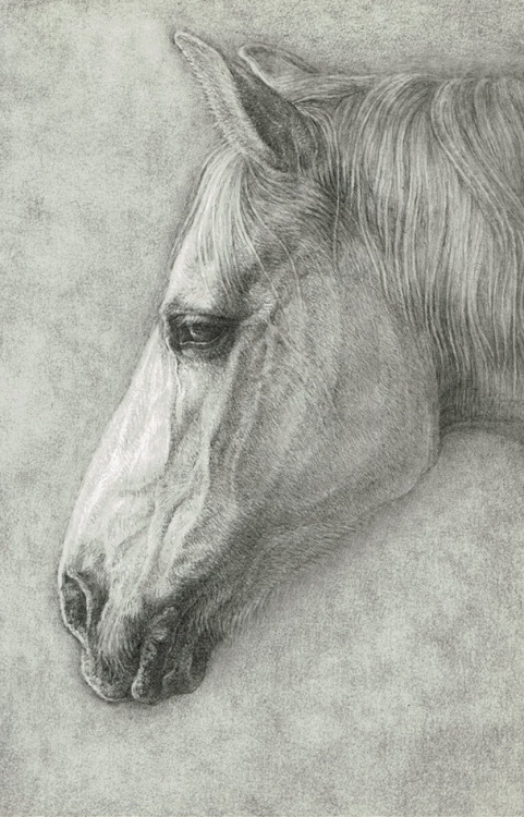 Mitsubishi Hi-Uni pencils on paper