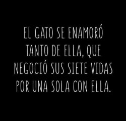 Sólo Una Vida, Una Vida Para Vivirla Contigo.